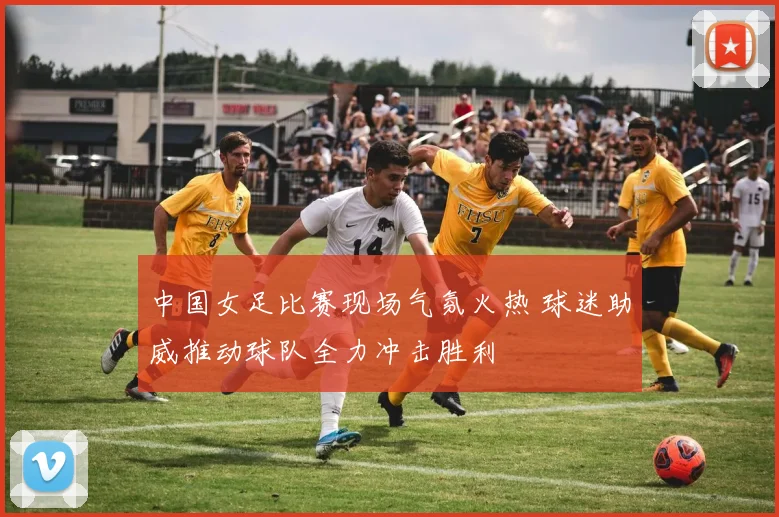 中国女足比赛现场气氛火热 球迷助威推动球队全力冲击胜利
