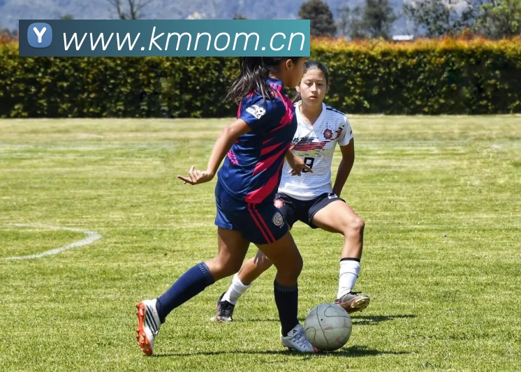 App Interface Preview