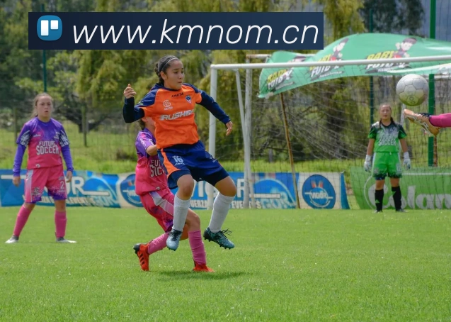 九游官网在线APP 封面图